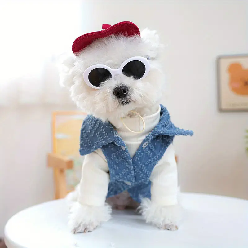 Dog fashion baseball cap with  – Street Fashion Photography recenzja i cena