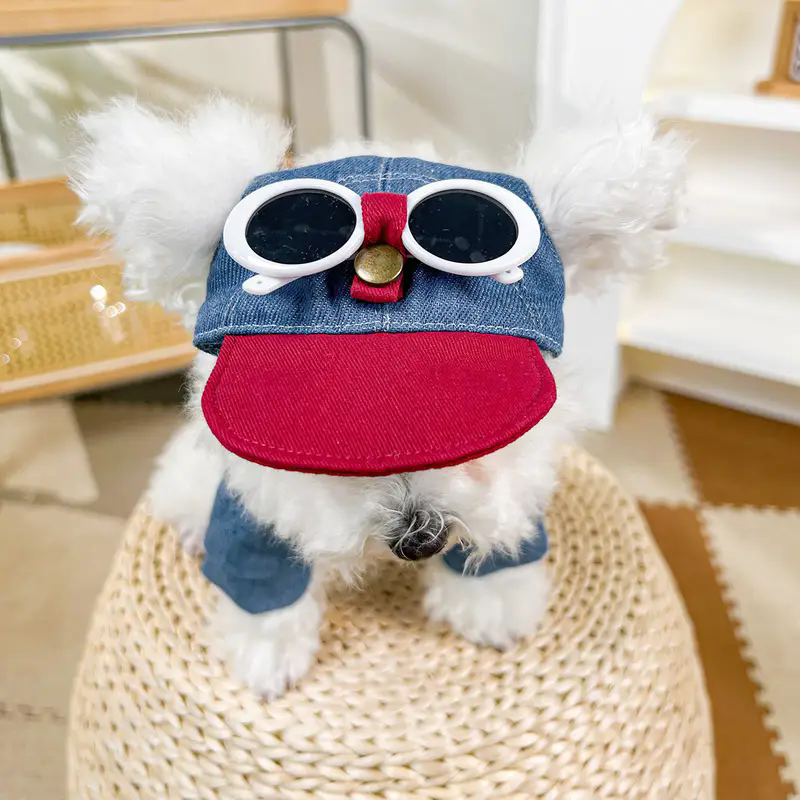 Dog fashion baseball cap with  – Street Fashion Photography recenzja i cena
