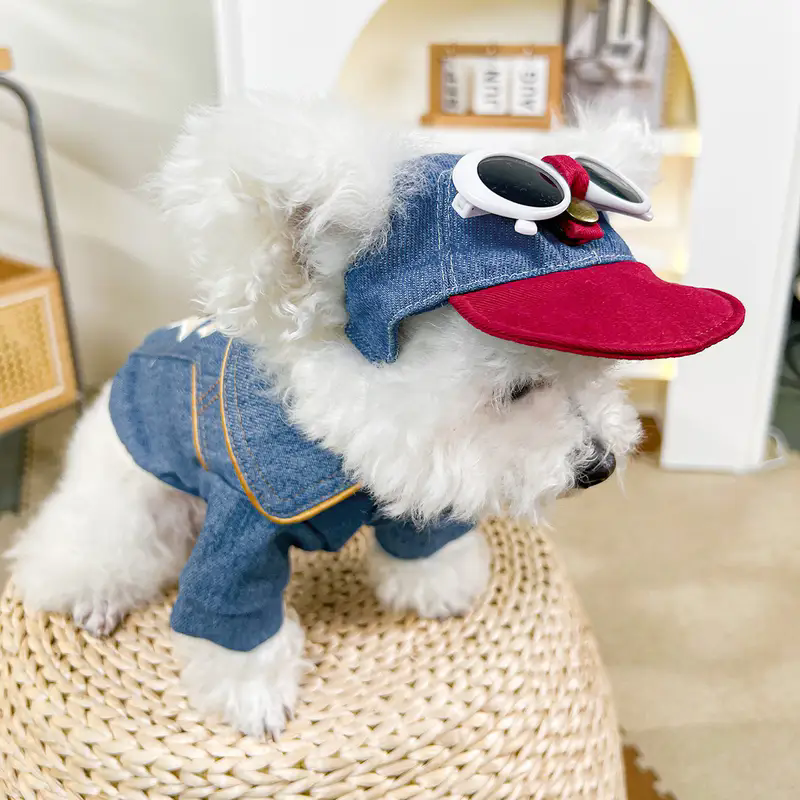 Dog fashion baseball cap with  – Street Fashion Photography recenzja i cena