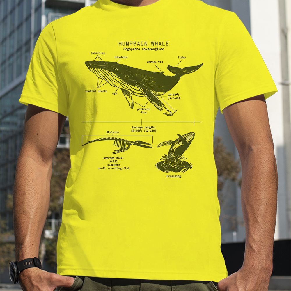 Humpback Whale Anatomy Shark L – Street Fashion Loverboy recenzja i cena